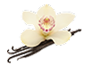 vanilla
