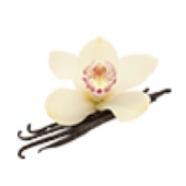vanilla